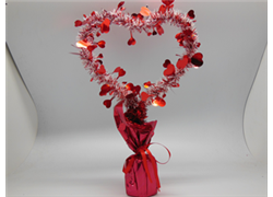 Valentine's Day Series